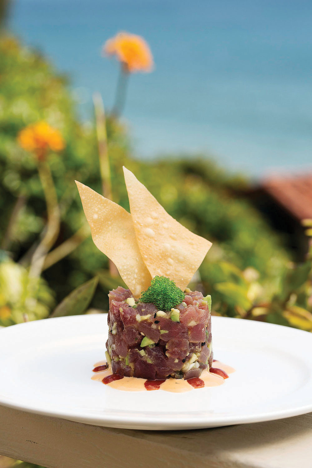 tuna tartar on a plate in a green area